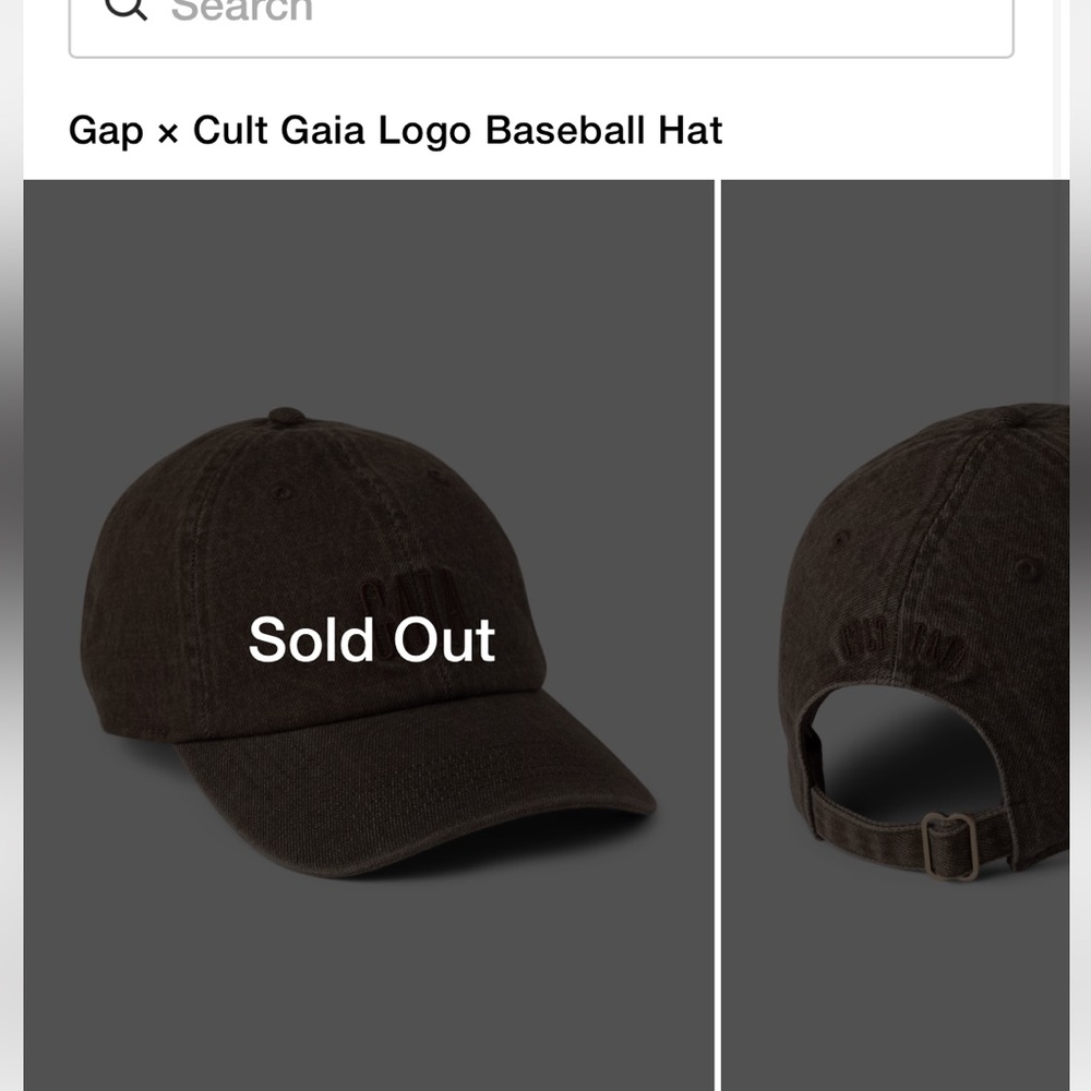 Gap x cult Gaia logo baseball hat